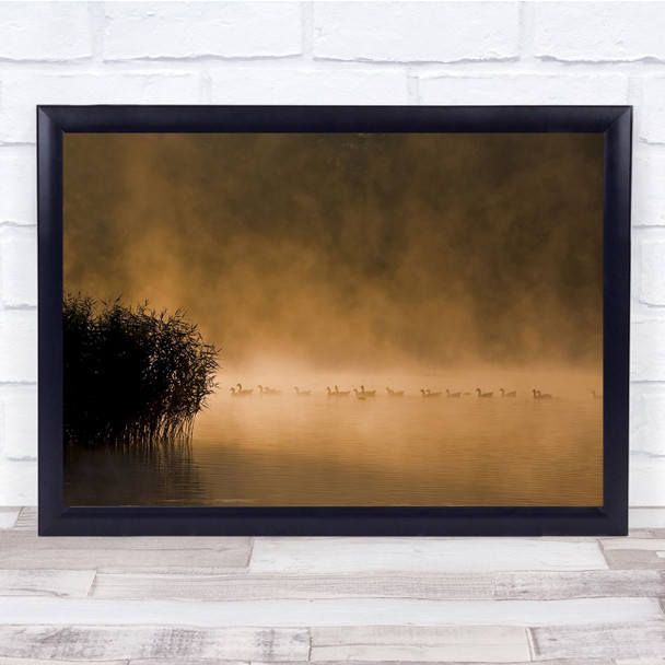 Ducks Mist Fog Birds Lake Water Haze Animals Wall Art Print