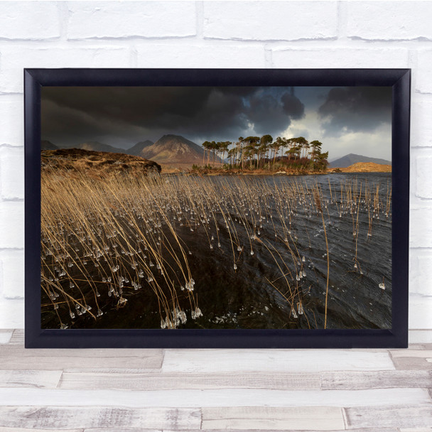 Landscape Panorama Reed Lake Ice Frost Trees Wall Art Print