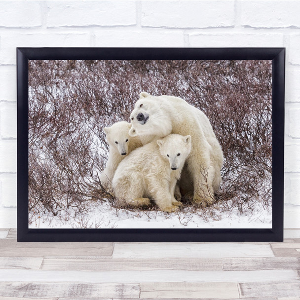 polar bear Cubs Wildlife Cute Nature Animals Wall Art Print