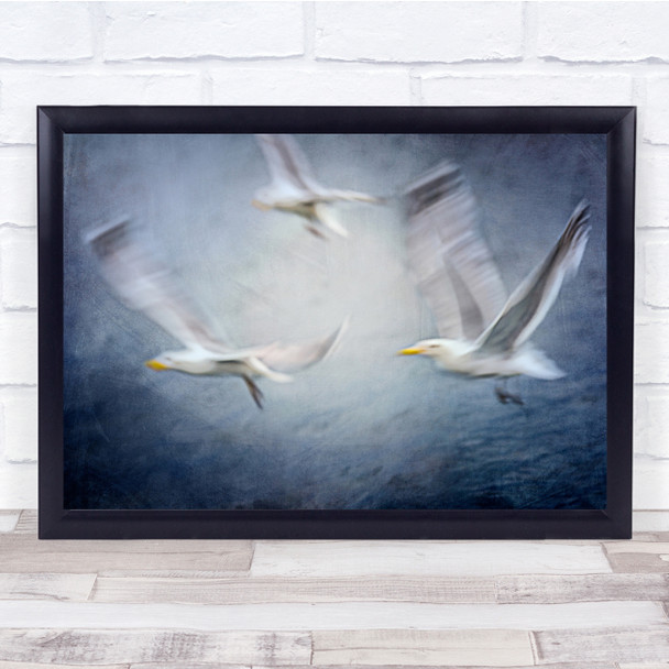 Seagull Blue Flight Bird Trio Blur Sea Ocean Wall Art Print