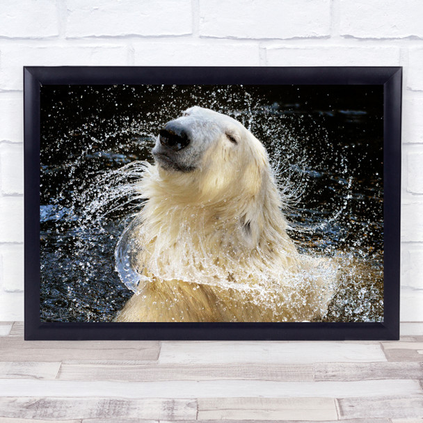 Wet Blonde Polar bear smile water flick hair Wall Art Print