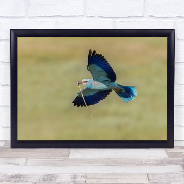 Wildlife Snake Caught Prey Hunting bird blue Wall Art Print