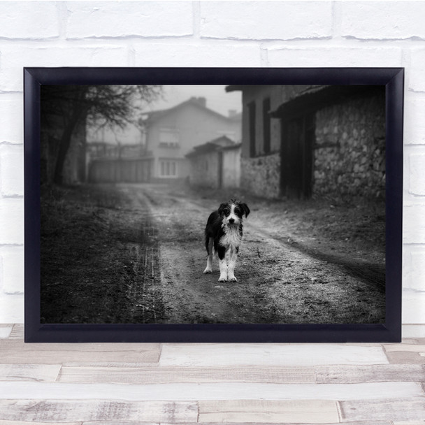 Dog Walking Rural Buildings black and white Wall Art Print