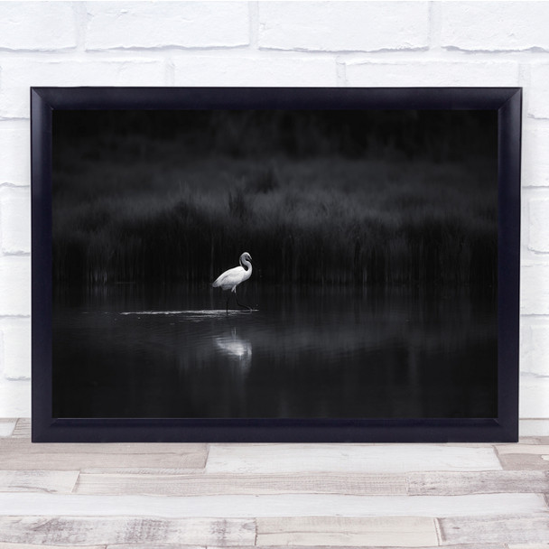 Egret Bird Wild Nature Animal Black & White Wall Art Print