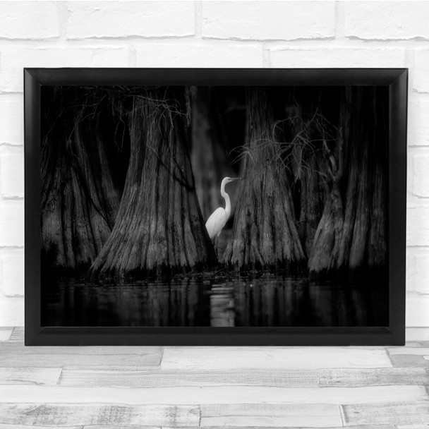 Egret Birds Lake Water Egrets Black & White Wall Art Print