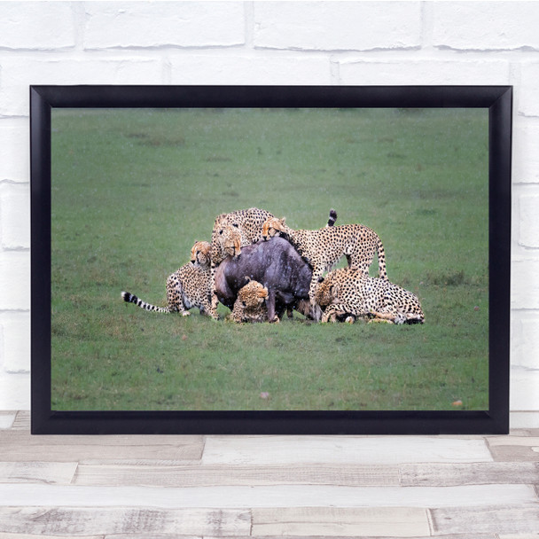 Fast Five Hunting In Rain Day Prey Predator Wall Art Print