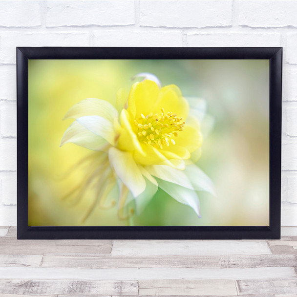 Flower Bloom Spring Floral Nature Freshness Wall Art Print