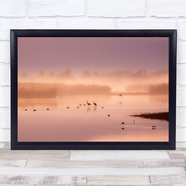 Israel Bird Pink Pastel Colours River Water Wall Art Print