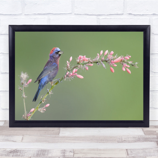 Bird Wildlife Nature Animal Animals Branch Wall Art Print