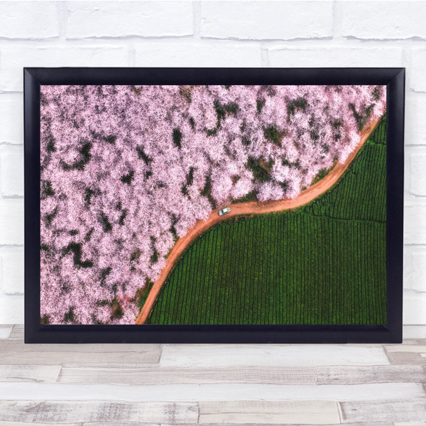 Blossom Cherry Trees Pink Aerial Landscape Wall Art Print