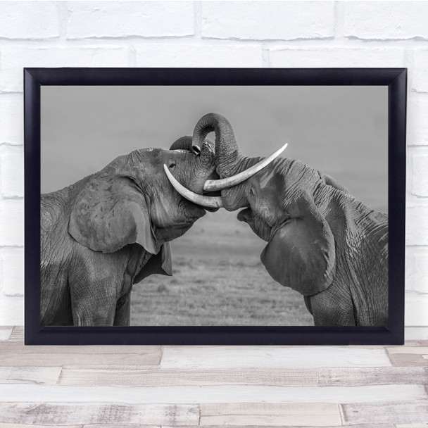 Elephants Duel Fighting Challenge Wildlife Wall Art Print