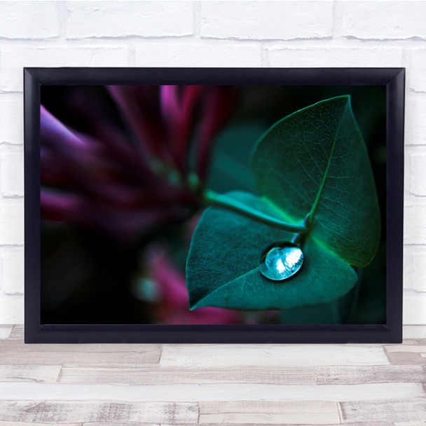 Honeysuckle Drop Leaf Garden Pearl Droplet Wall Art Print