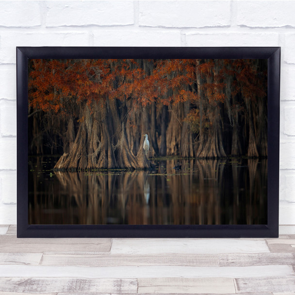 Landscape Bird Reflection In Tranquil Lake Wall Art Print