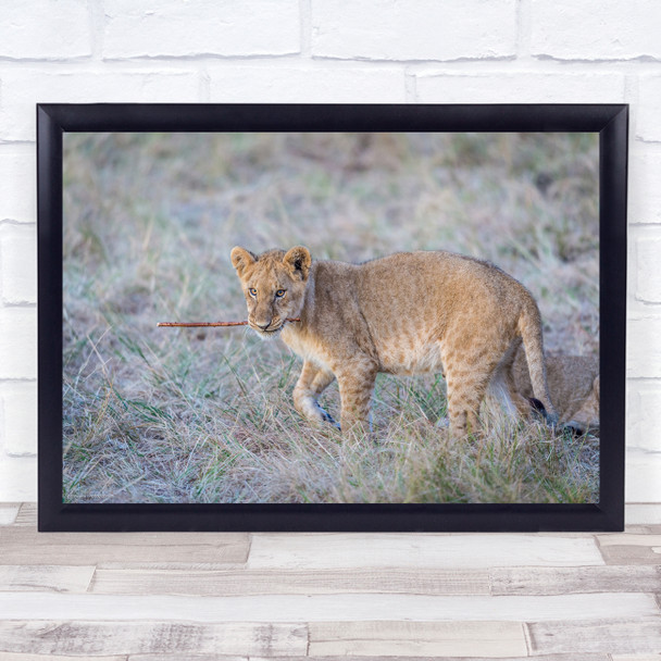 Let's Play cub snowy field wildlife animal Wall Art Print