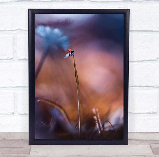 Living In Fantasy ladybird on grass nature Wall Art Print