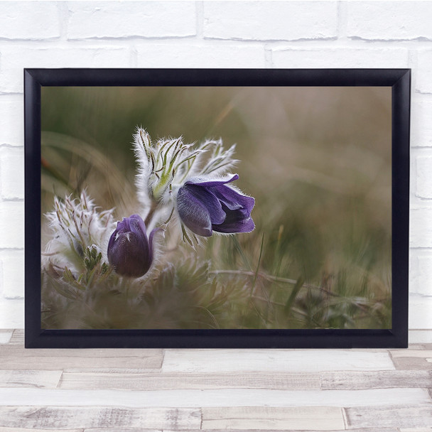 Macro Flower Delicate Spring Floral Purple Wall Art Print