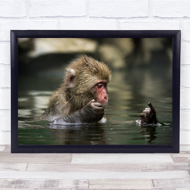 Monkey in water looking at finger thinking Wall Art Print