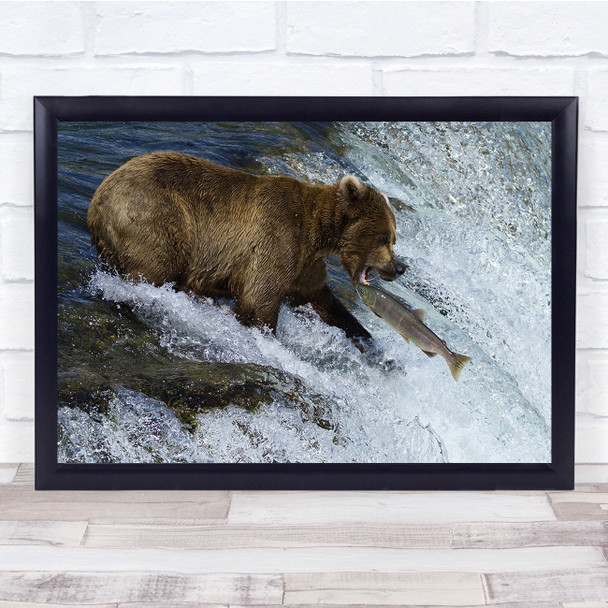 Nature Grizly Bear catching fish waterfall Wall Art Print