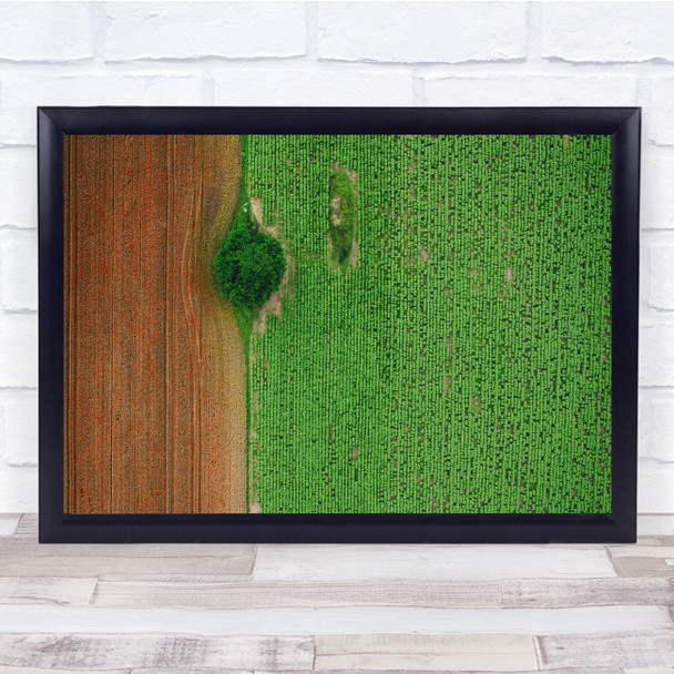 Tree Fields Countryside Rural Aerial Above Wall Art Print