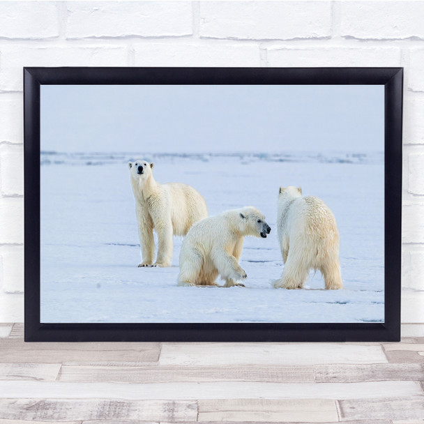 Wildlife Nature Animals Polar Bears Arctic Wall Art Print