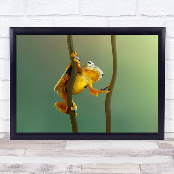 Awake frog holding branches posing Yellow Wall Art Print