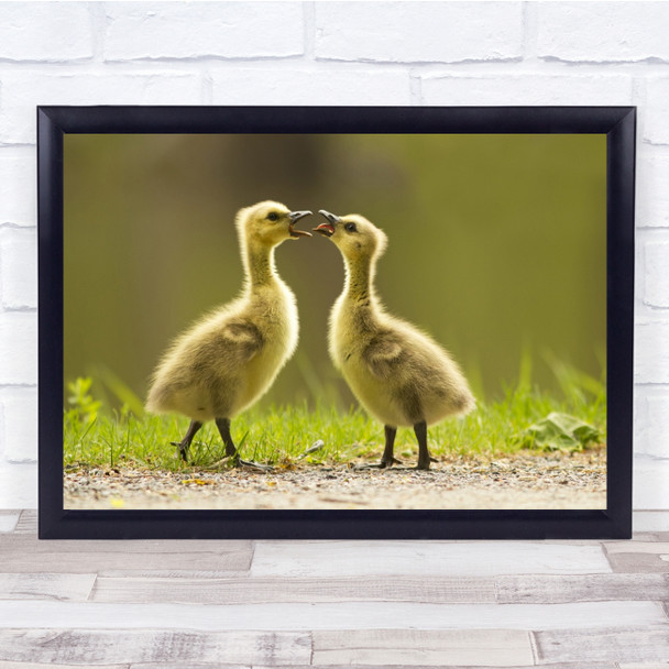 Babies Playing Cute Spring Goose Duckling Wall Art Print