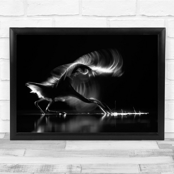 Bird Backlight Movement Heron Grey Herons Wall Art Print