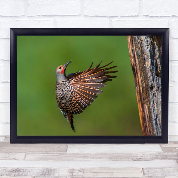 Bird Wood Pecker In Flight Tree Landscape Wall Art Print