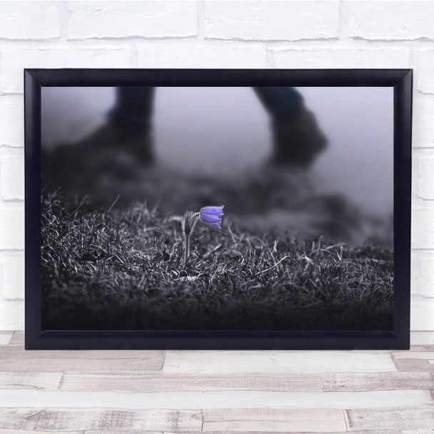 black and white Winter flower lone purple Wall Art Print