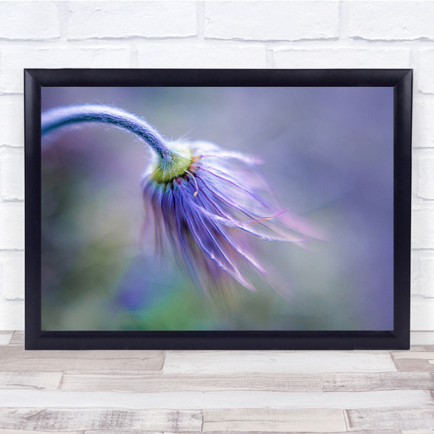 Purple Macro Gentle Delicate Bokeh Flower Wall Art Print