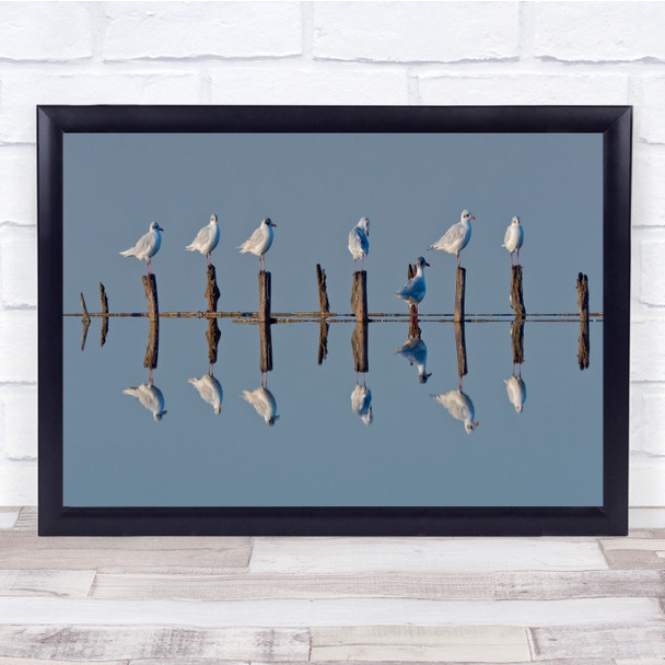 Seven Reflection Pole Birds Water Seagull Wall Art Print