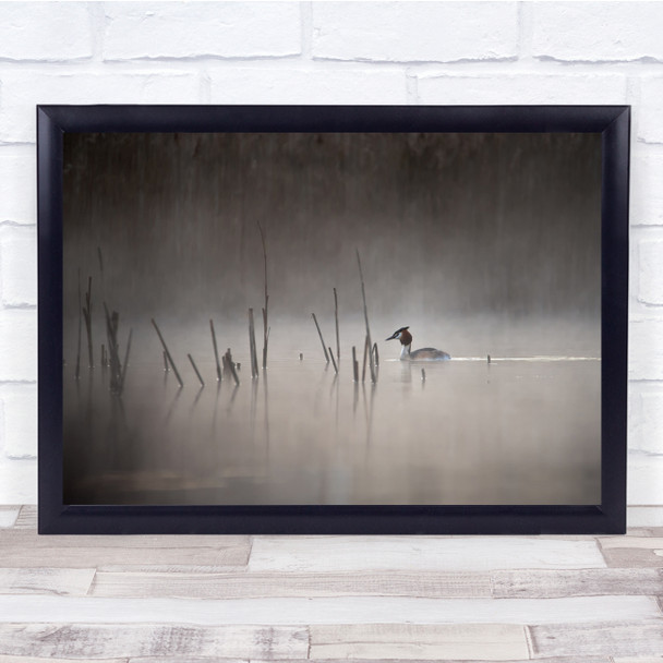 Wildlife Nature Animal duck Fog Mist Haze Wall Art Print