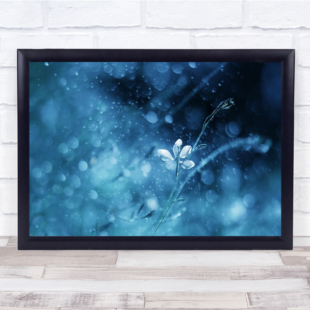 Blue Toned Bokeh Gentle Delicate Flowers Wall Art Print