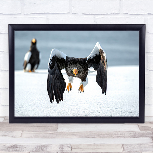 Eagle Wildlife Nature Animal Bird Flight Wall Art Print