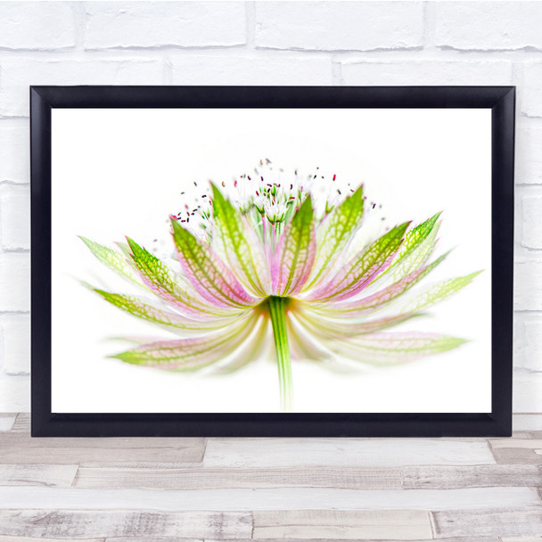 Flower Bloom Summer Green Leaves Minimal Wall Art Print