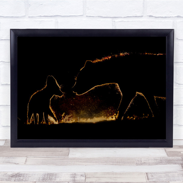 Hyaena Jackal At Night Parent Child Dark Wall Art Print