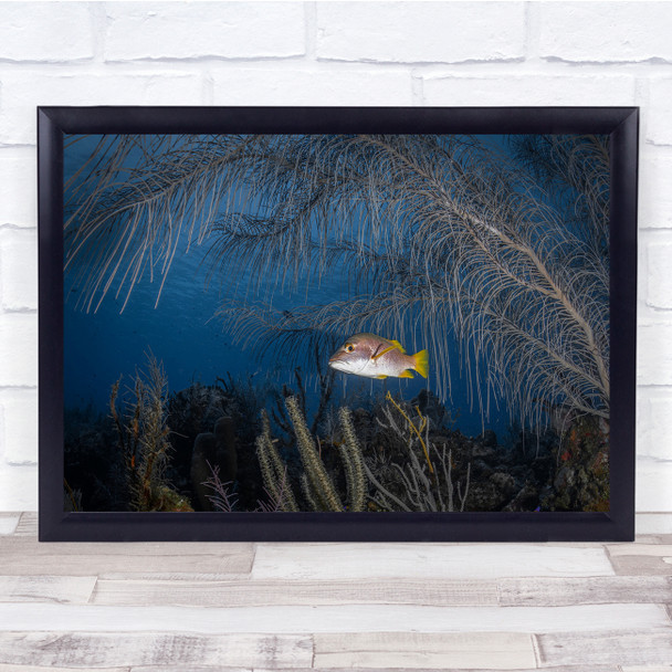Monodrama Lonely fish underwater Sealife Wall Art Print