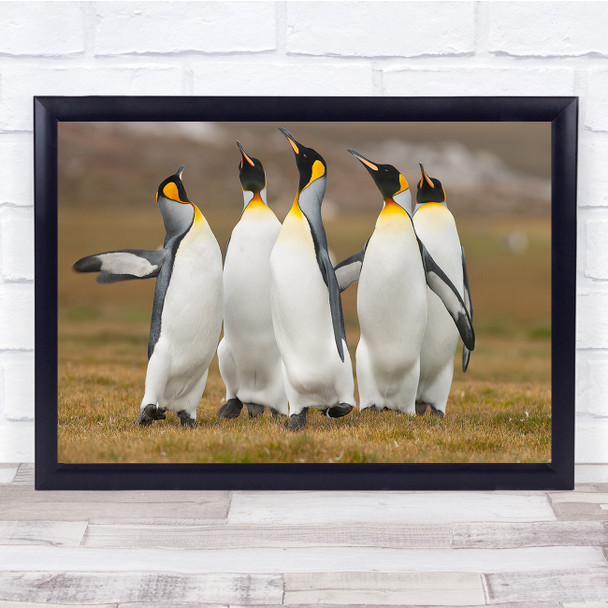 Penguins Wild Nature Animals Bokeh Group Wall Art Print