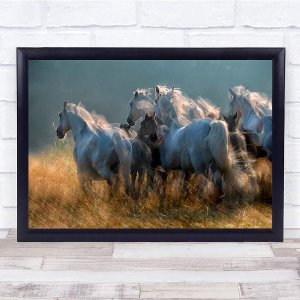 Animals Horses Blur Motion Grass Gallop Wall Art Print