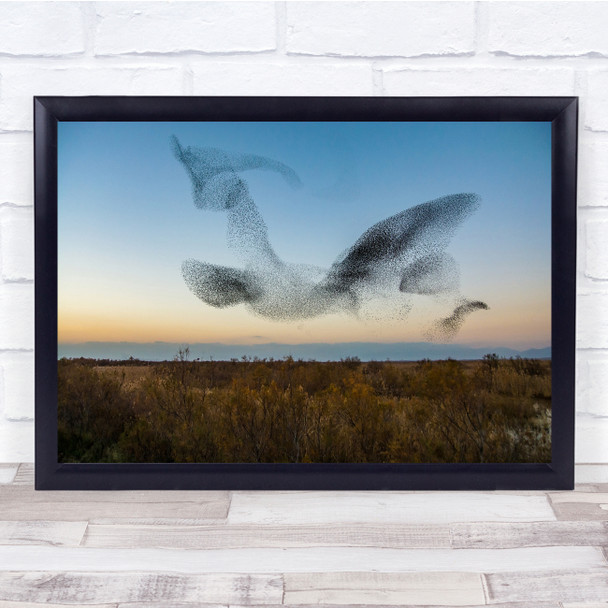 Birds Flight Nature Starlings Landscape Wall Art Print