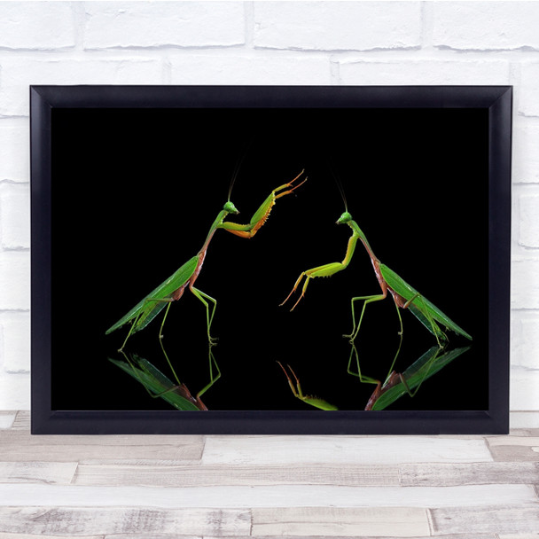 Dark Give Me Five Praying mantis insect Wall Art Print