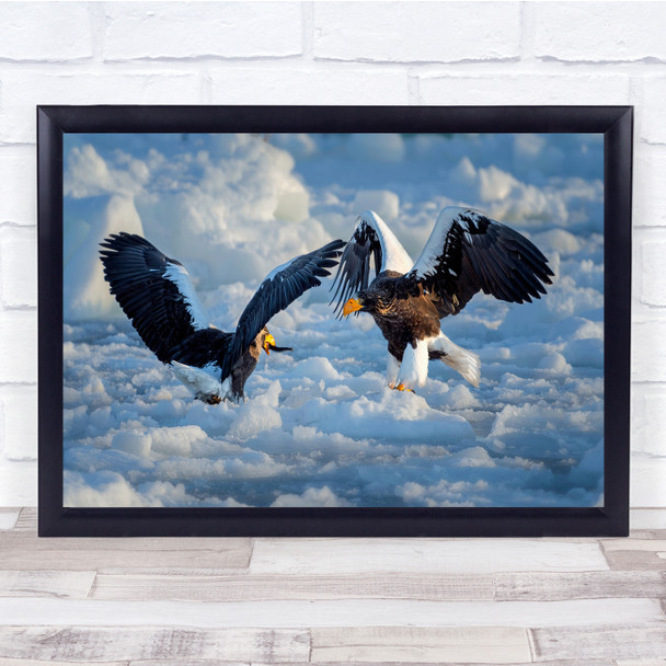Stellar Sea Eagle wings action wildlife Wall Art Print