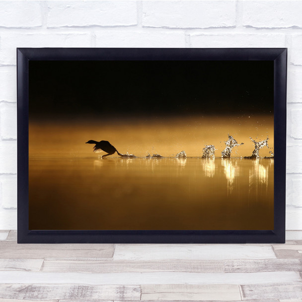 Wildlife Nature Animal Orange Lake Bird Wall Art Print