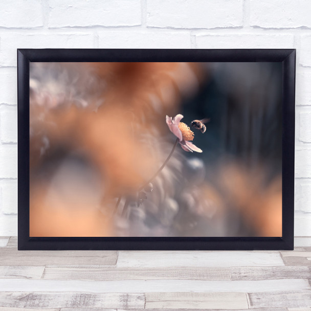 A Kiss Bee with Nature close up flower Wall Art Print