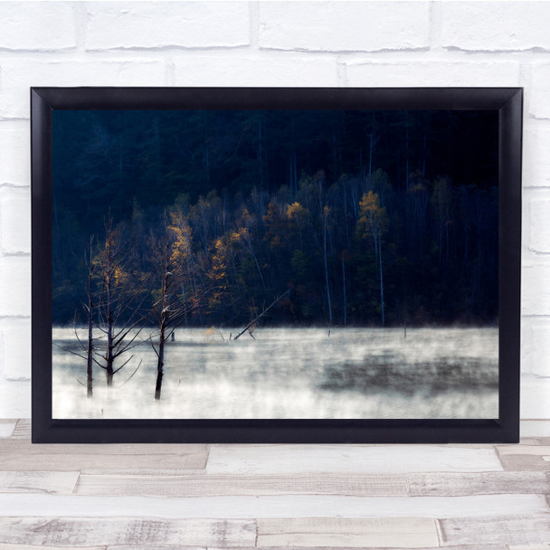 Lake Trees Landscape Marsh Swamp Foggy Wall Art Print