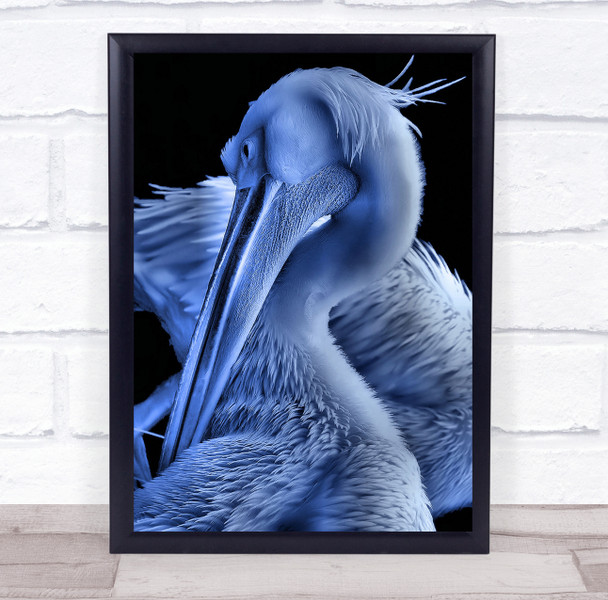 Nature Bird Pelican Small Break animal Wall Art Print