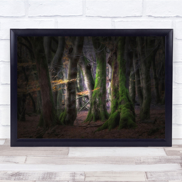 Forest Nature Landscape light shadows Wall Art Print