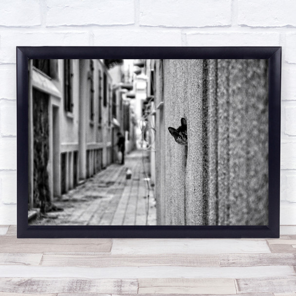 Cat Pet Street Fun Funny Peek Humour Humour Alley Black & White Urban City Print