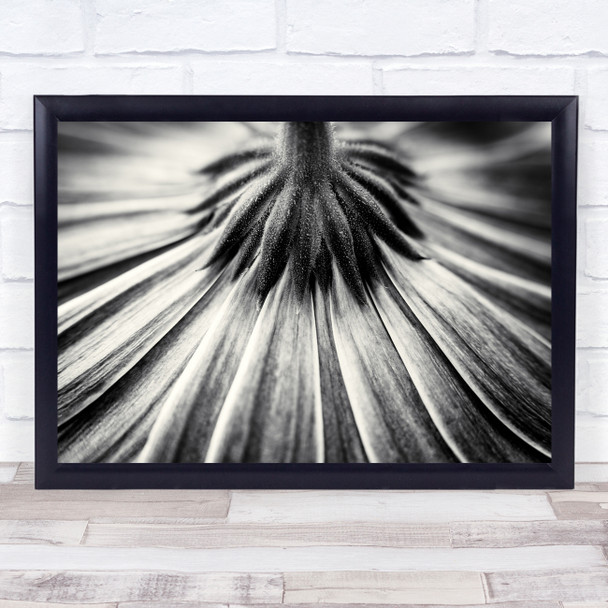 Flower Flora Floral Flowers Black & White Petals Abstract Macro Still Life Print