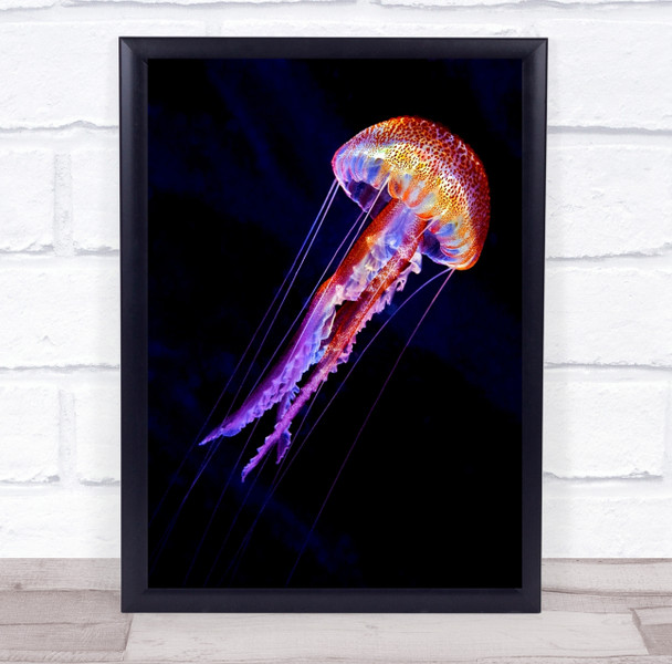 Jellyfish Jelly Pelagia Mediterranean Sea Spain Menorca Colourful Wall Art Print